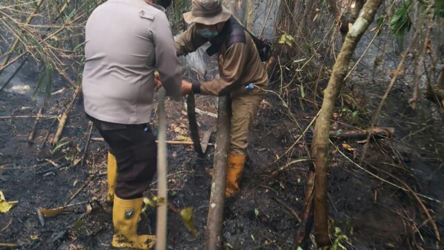Polsek Matan Hilir Utara ,Gerak Cepat, Padamkan Karhutla, didesa Kuala Tolak